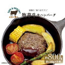 【ふるさと納税】 北海道産 オーガニック 牛肉 生ハンバーグ 約800g【 国産牧草牛・ 北里八雲牛 】_ 牛肉 ハンバーグ おかず お弁当 簡単 簡単調理 北海道 八雲町 人気 美味しい ふるさと 【配送不可地域：離島】【1347489】