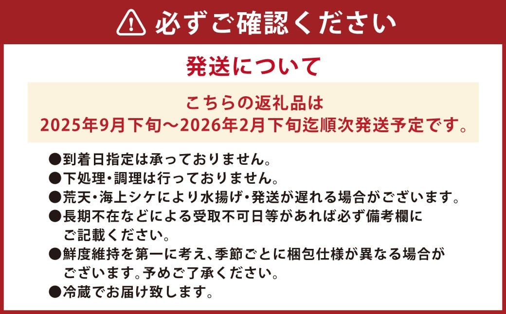丸ごと1匹お届け！長崎近海 天然アラ (クエ) 5kg台 (5.2〜5.8kg、8〜10人前) ／ 魚 鮮魚 魚介 海鮮 高級魚 くえ あら 血抜き 鍋 刺身 大将農園 長崎県 長崎市 【2025年9