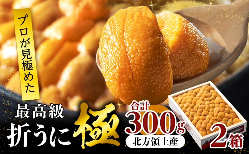 ≪プロ厳選≫最高級折うに(極)計300g うに ウニ 雲丹 折うに 海鮮 海産物 北海道 浜中町 ふるさと納税 人気_H0014-001