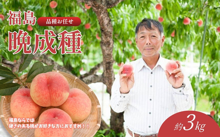 No.2408福島 桃　晩成種約3kg【2026年発送】