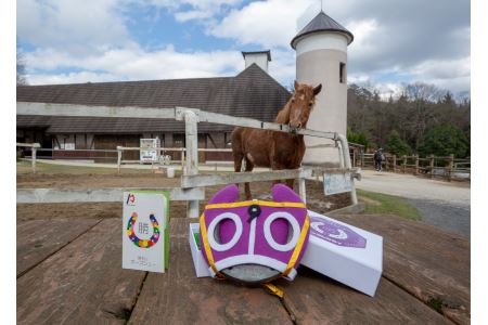 健康にいい！癒し効果もある！誰でも乗馬が楽しめる引き馬無料券_S55