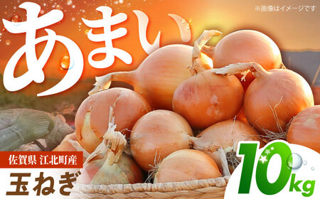【先行予約】 玉ねぎ 10kg 【吉祥】[HDG004]