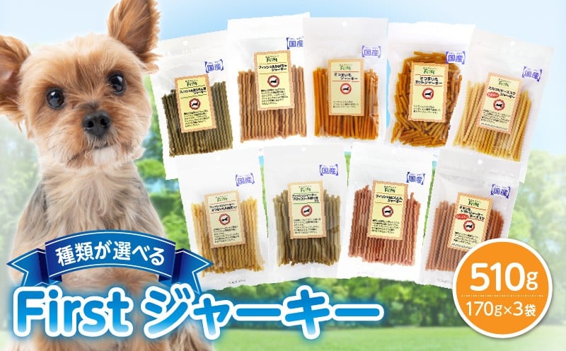 
            【選べる種類】First ジャーキー　3袋 犬のおやつ 犬用おやつ 犬のスナック 犬用スナック ドッグフード 犬のごはん 犬用ごはん 犬のエサ 犬用ジャーキー スティック わんちゃん ワンちゃん 奈良県 生駒市 送料無料
          