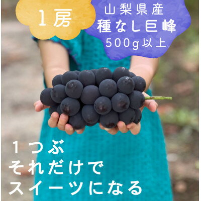 【ふるさと納税】巨峰ぶどう(種なし) 1房500グラム以上 産地直送 山梨県山梨市牧丘産【配送不可地域：離島・沖縄県】【1535989】