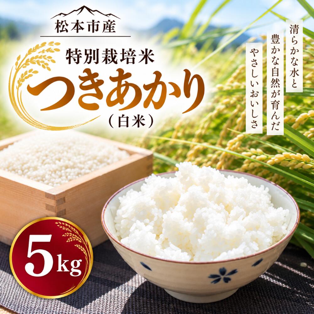 【ふるさと納税】米 5kg または 10kg つきあかり 特別栽培米 白米 玄米 選べる種類と内容量 長野県松本市 ファームヤマコ 国産 | こめ お米 長野米 美味しい 松本産 ふっくら 大粒 炊き上がりの艶 お弁当 おにぎり