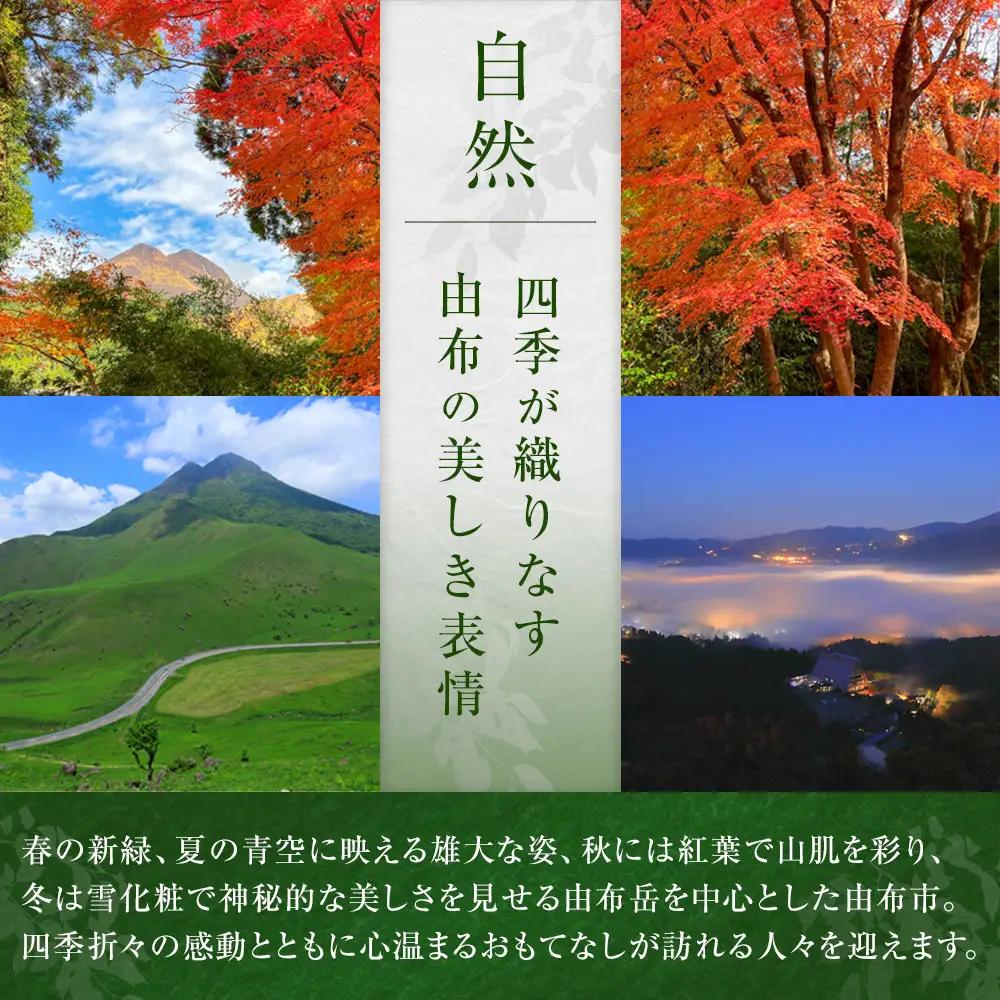 大分県産　大麦若葉青汁200ml１６本入り　２箱セット | 青汁