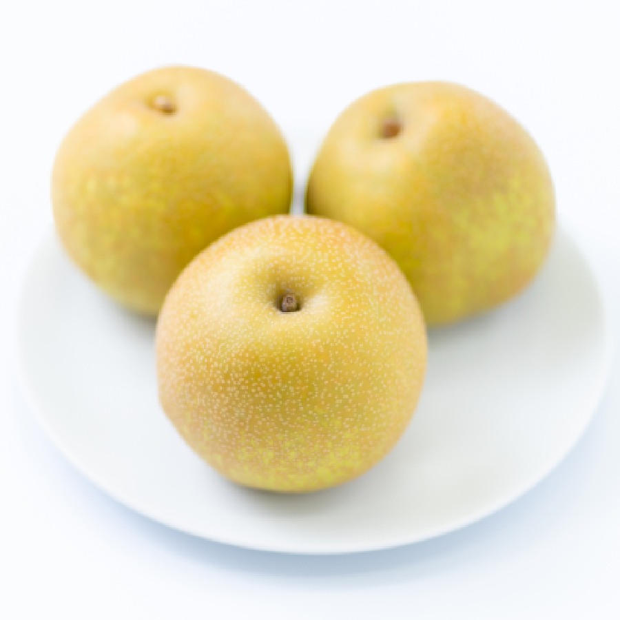 ＜JA八女産＞梨5ｋｇ