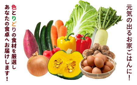 旬の野菜とたまごのセットメロンドーム 野菜 卵 にんにくたまご 卵 詰め合わせ 5ヶ月 定期便 有限会社七城町特産品センター《お申し込みの翌月から出荷》熊本県 菊池市 セット 新鮮 国産 九州産 熊本