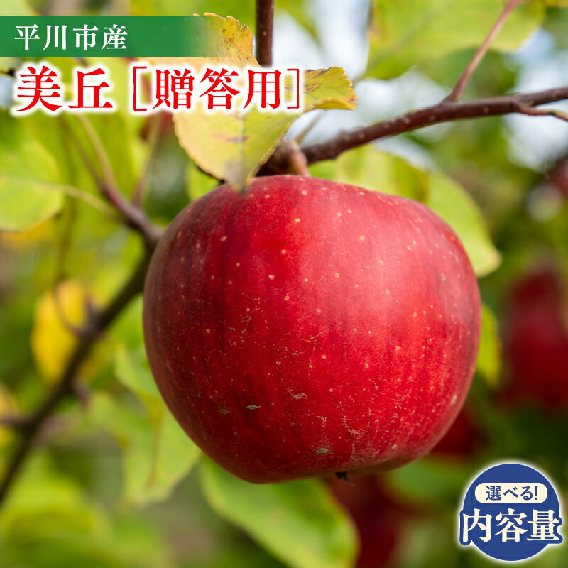 【ふるさと納税】 ≪内容量が選べる≫ 青森県 贈答用 美丘 約3kg 約5kg 11月下旬〜順次発送 【 青森県 平川市 今井農園 】青森県産 産地直送 みおか りんご リンゴ 林檎 フルーツ 果物 くだもの お取り寄せ グルメ