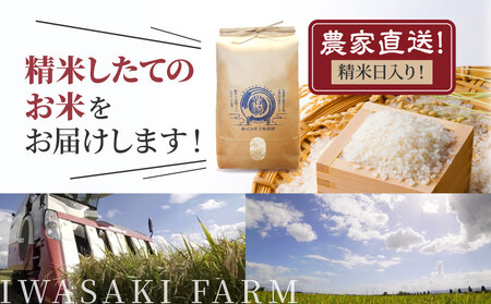 【３回隔月定期便】岩崎農園 白米 特A ゆめぴりか 5kg×2袋 10kg 北海道 旭川市 定期便 精米 ブランド米_05682