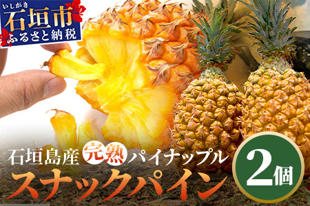 《2025年4月～6月発送予定》最高糖度18度！？ 石垣島産完熟スナックパイン 2個セット 【 沖縄県 石垣市 石垣島 完熟 パイン パイナップル スナック 産地直送 】TF-23