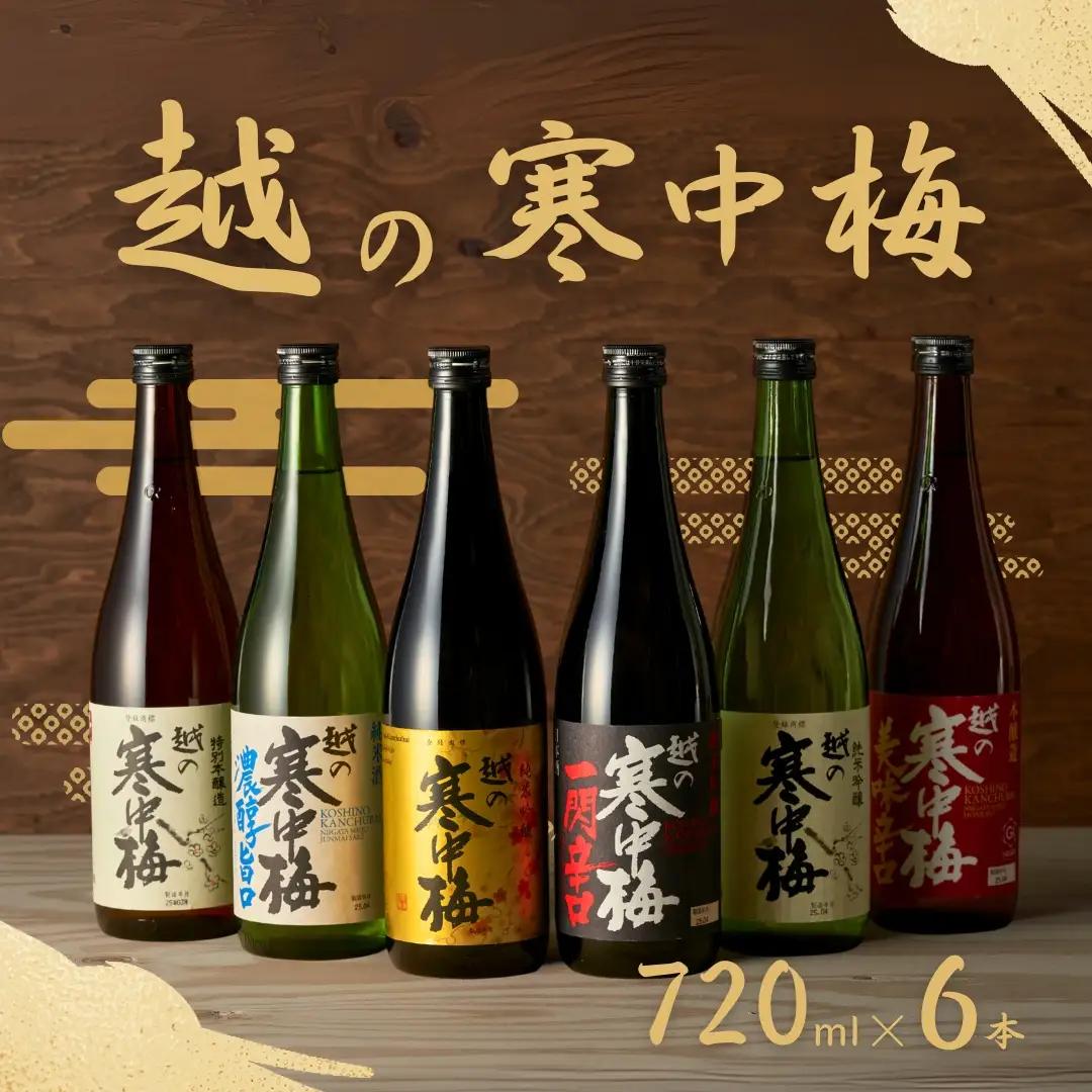 日本酒 越の寒中梅 6種類飲み比べセット 720ml×6本 淡麗辛口 新潟銘醸