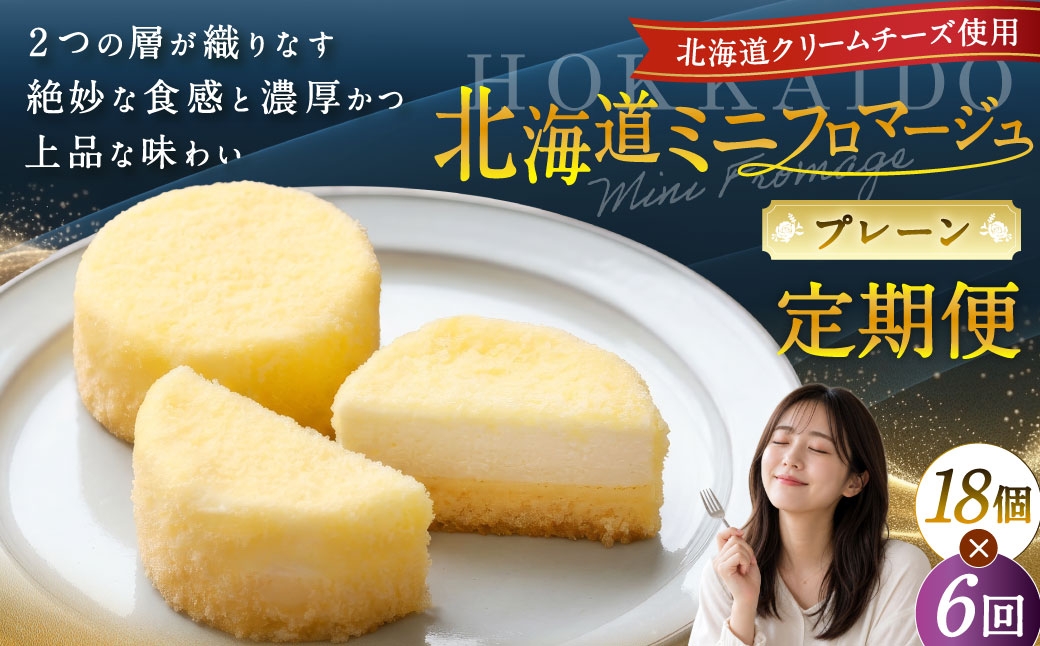 
            【6回定期便】 北海道ミニフロマージュ （プレーン） 約900g×6回 合計約5.4kg ミニフロマージュ フロマージュ チーズケーキ ケーキ スイーツ 洋菓子 冷凍 北海道 小樽市
          