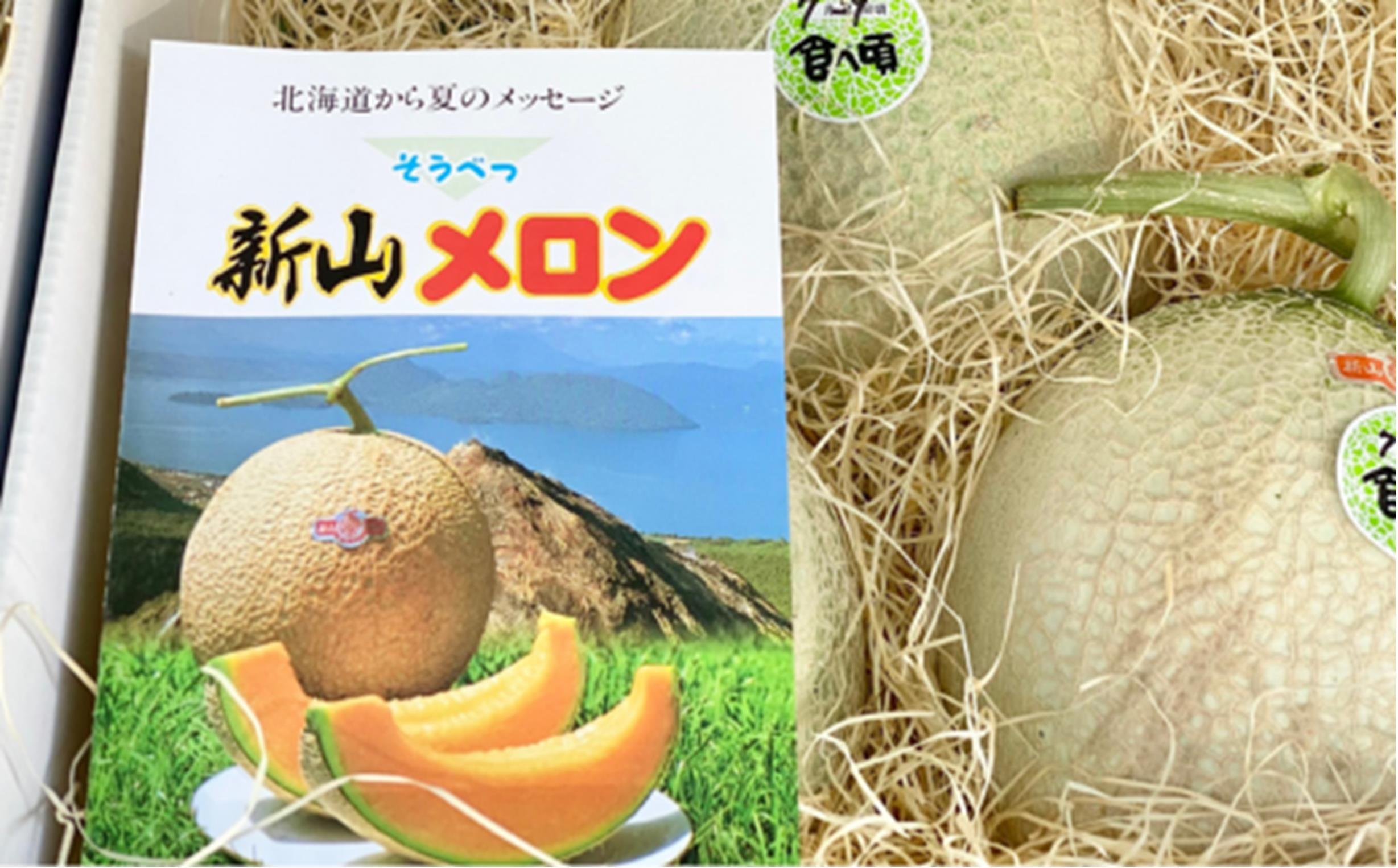 ＜2026年7月下旬よりお届け＞北海道壮瞥産 赤肉メロン（ニューキングメロン）2玉 約3kg SBTN003