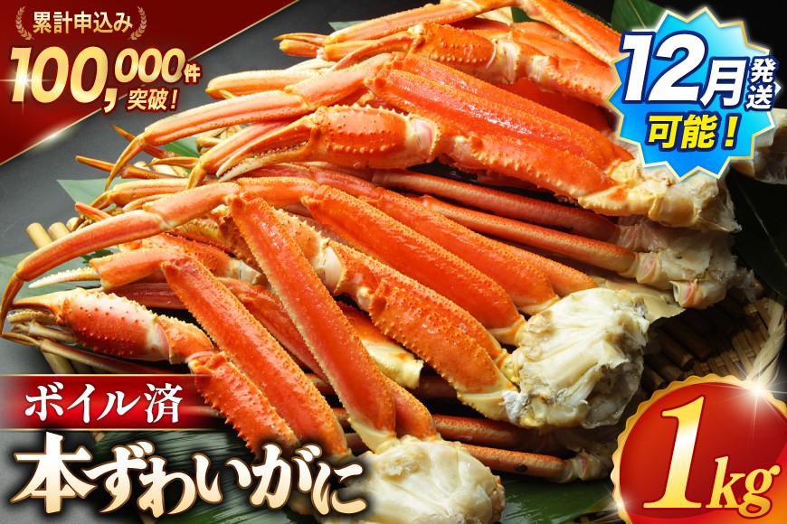 
                  ★12月発送受付中★ 訳あり ボイル ずわいがに 肩付き脚 総重量1kg [カネダイ 宮城県 気仙沼市 20564325-o] カニ かに 魚介類 ズワイガニ ずわい蟹 ズワイ蟹 ずわい ズワイ 蟹 カニ かに カニ脚 蟹脚 不揃い 規格外 海鮮 ご褒美 ずわいがに
                