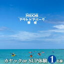 【ふるさと納税】チケット カヤック or SUP体験 NEOSアウトドアパーク南城 ( 沖縄県南城市・1名様 ) | 体験返礼品 海 絶景 アクティビティ マリンスポーツ トイレ完備 シャワー完備 カヌー ボート 小型ボート サップ シーカヤック 返礼品 沖縄県 沖縄 南城市