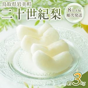【先行予約】中野農園 梨 ”二十世紀梨” 3kg箱｜鳥取 岩美 梨 なし ナシ※お届けは2026年8月下旬以降【41025】