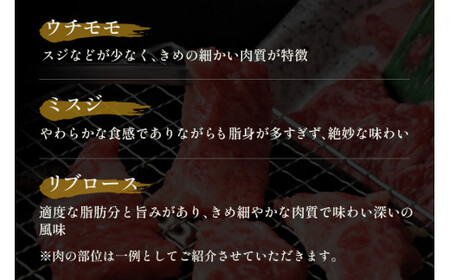 【和牛セレブ】鳥取和牛5種焼肉食比べ 500gお肉 肉 牛肉 和牛 鳥取和牛 牛肉 肉 国産 お肉 冷凍焼き肉 肉 食べ比べ 焼き肉 牛肉