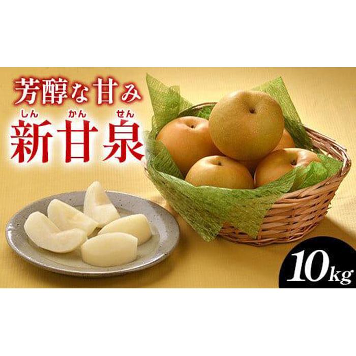 【ふるさと納税】288.新甘泉（しんかんせん）10kg（JA）※2025年8月下旬～9月上旬頃に順次発送予定 | 先行予約 梨 なし ナシ 新甘泉 フルーツ 果物 鳥取県 北栄町 おすすめ 人気