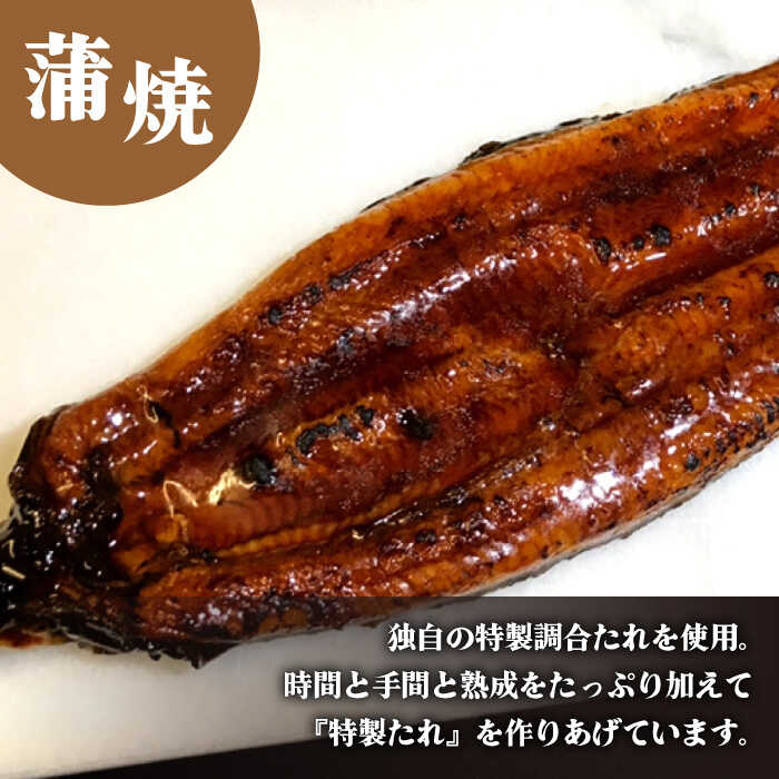 【須川屋台道場】うなぎ 蒲焼 2尾 ・ 白焼き 2尾 セット  / 南島原市 / はなぶさ [SCN009]_イメージ3