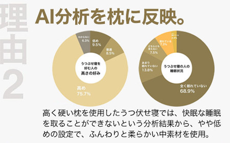 うつぶせ寝を好む人向け枕 THE PILLOW Preset 09 Utsubuse