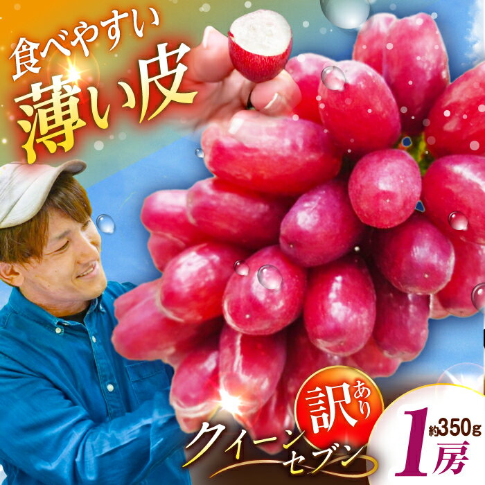 【ふるさと納税】【2026年先行予約】【10個限定】【ご自宅用】期待の新品種！クイーンセブン 1房（約350g）簡易包装 訳あり ぶどう ブドウ 葡萄 フルーツ 果物 くだもの 種なし 皮ごと 先行予約 赤ぶどう 島根県雲南市/ギアファーム[AIAB008]