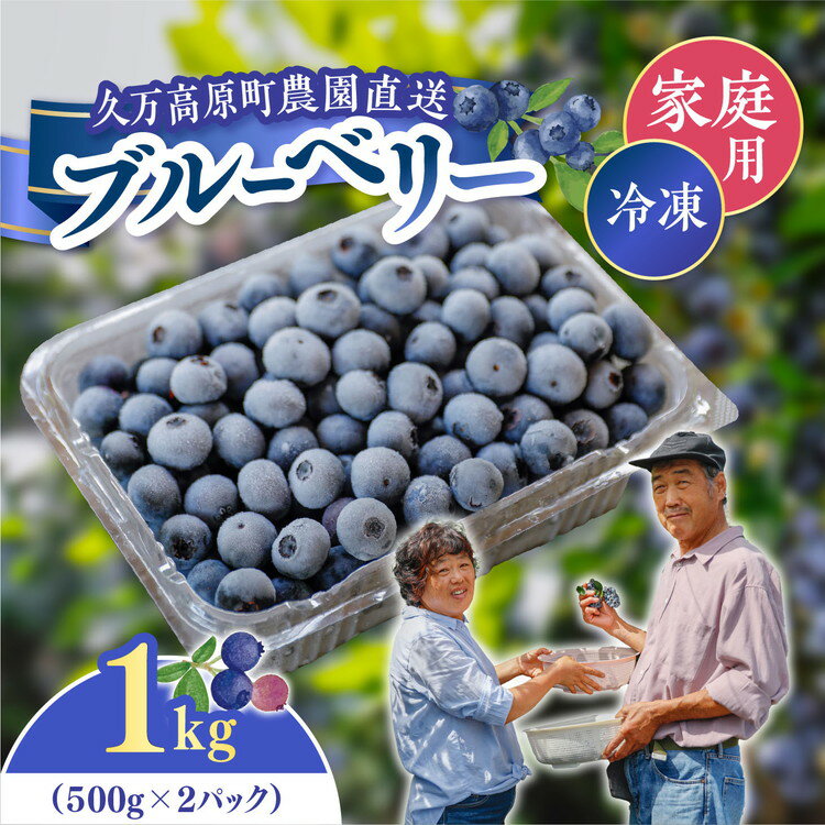 【ふるさと納税】農園直送 手摘み 家庭用 冷凍 ブルーベリー 1kg ｜ 愛媛県 久万高原町 青木農園 高原栽培 国産 フルーツ ベリー ジャム おやつ 製菓用 スムージー ヨーグルト 朝食 ビタミンC 食物繊維 長期保存 ※2025年10月上旬頃より順次発送予定