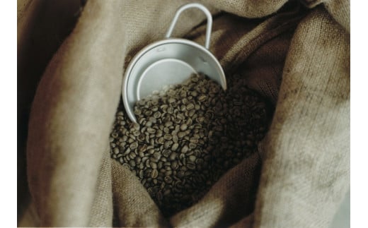 『TASTORY COFFEE AND ROASTER』世界のスペシャルティコーヒー　コーヒー豆　4種詰め合わせ（100g×4種類）【粉（中挽き）】