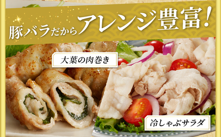 宮崎県産豚バラしゃぶしゃぶ用(計1kg) 肉 豚 豚肉 おかず 国産_T009-013【人気 豚肉 しゃぶしゃぶ 豚肉 おすすめ 豚肉 豚しゃぶ 豚肉 鍋 肉 晩ご飯 豚肉 BBQ 豚肉 バーベキュー