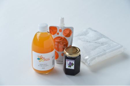 アイアイ今治セットA～今治のとろけるフルーツと今治タオルセット～ [VB01080]