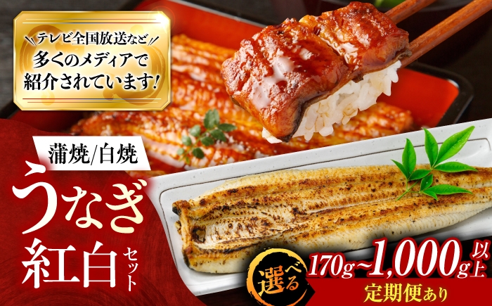 【選べる容量/配送回数】鰻 美陵鰻の蒲焼1尾×白焼1尾 紅白セット / 美陵鰻 鰻 うなぎ ウナギ 蒲焼 蒲焼き 白焼き 白焼 肉厚 うな重 うな丼 惣菜 おかず タレ 山椒 国産 スタミナ 土用 丑の日 贈答 贈り物 ギフト かば焼き かばやき しろやき しらやき 長焼 関西 ひつまぶし つまみ おつまみ たれ 和食 おいしい 美味しい / 大阪府藤井寺市/(株)れいわ水産 [BLAL042]