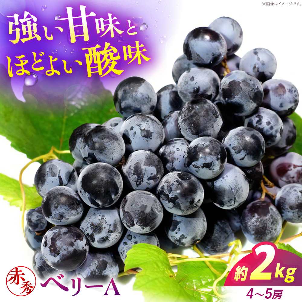 ＜9月上旬から順次発送＞ぶどう ベリーA 2kg（4～5房） 赤秀 露地栽培 マスカット ブドウ 果物 くだもの フルーツ ぶどう 葡萄 三次市/西田ぶどう園 [APCM011]
