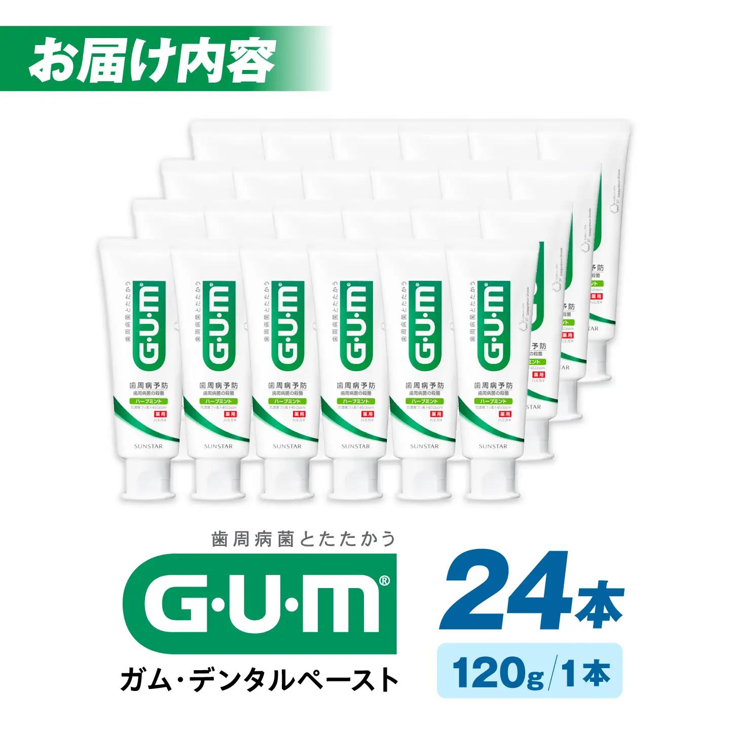 GUM デンタルペースト(ST) 120g×24本 大阪府高槻市/サンスター[AOAD078]