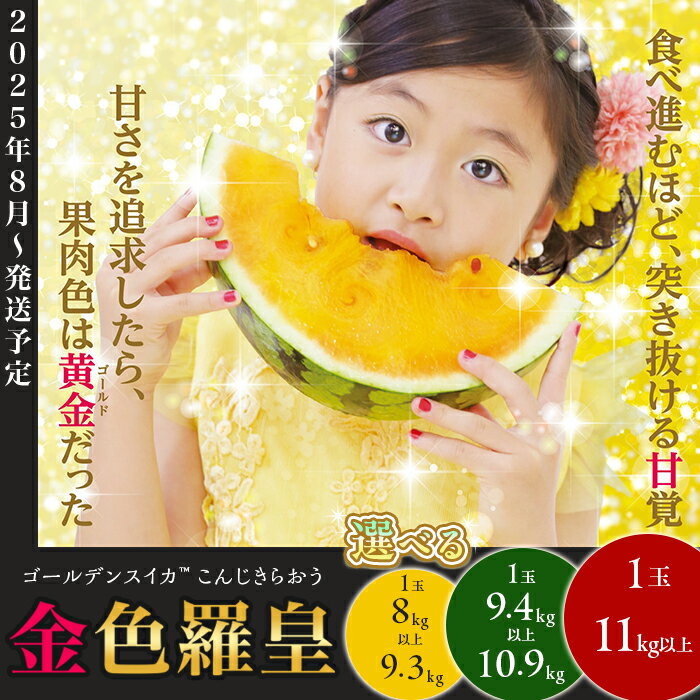 【ふるさと納税】先行予約 すいか スイカ 西瓜 金色羅皇 こんじきらおう 希少 人気 新品種 黄色 ゴールド 数量限定 糖度 大玉 「金色羅皇」(1玉)【2025年8月発送予定】フルーツ 旬 果肉 くだもの 子供 夏休み おやつ 信州 国産 送料無料 長野県 東筑摩郡