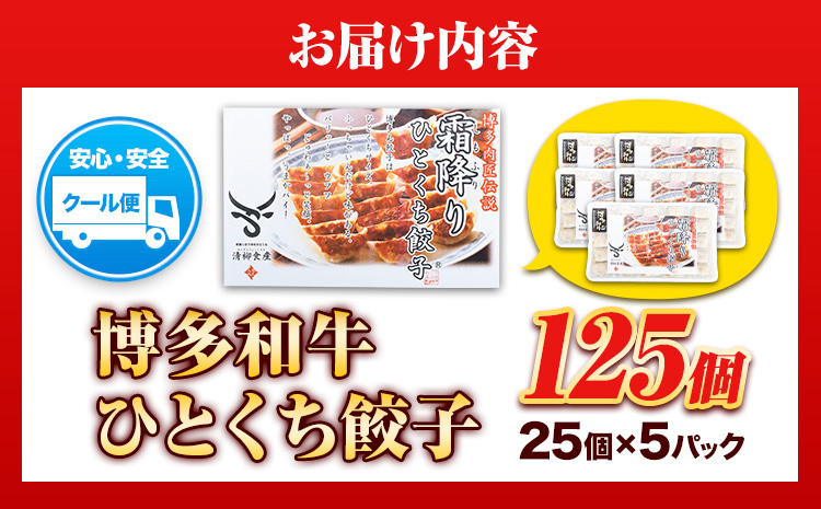 餃子 一口餃子 ひとくち 博多和牛 冷凍 25個 × 5パック 125個 清柳食産《30日以内に出荷予定(土日祝除く)》---skr_fsrhtktgz_30d_23_13200_125i---