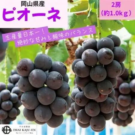 【2027年発送】岡山県産ピオーネ　約1kg(約500g×2房)【配送不可地域：離島】【1614365】