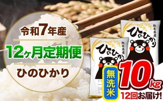 【12ヶ月定期便】 令和7年産  定期便 無洗米 ひのひかり 10kg 《お申込み翌月から出荷》令和7年産 熊本県産 ふるさと納税 精米 ひの 米 こめ ふるさとのうぜい ヒノヒカリ コメ 熊本米 ひのもり