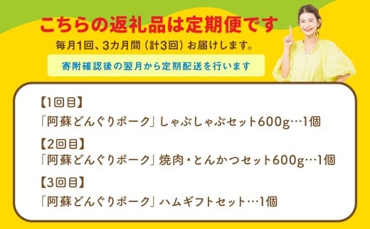 【年3回連続定期便】 スザンヌが選ぶ熊本ギフト どんぐりポーク 定期便3ヶ月 ／ 3回定期便 豚肉 ウィンナー 粗挽きウィンナー チーズ チョリソー ベーコン ボンレスハム お肉 肉 スザンヌ 定期便