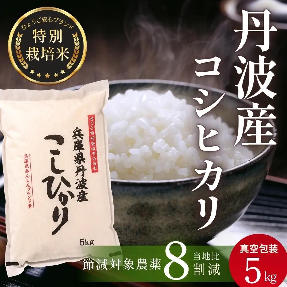 コシヒカリ〈スピード発送〉新米 丹波コシヒカリ〈低農薬 80%減〉特別栽培米 5kg コシヒカリ