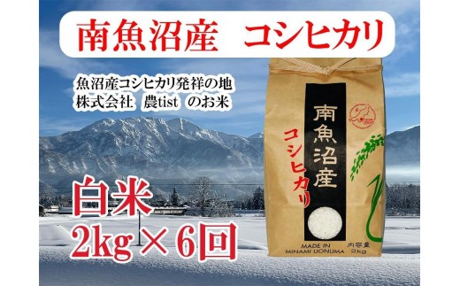 【令和7年産】【定期便 南魚沼産】コシヒカリ 白米2kg×6回