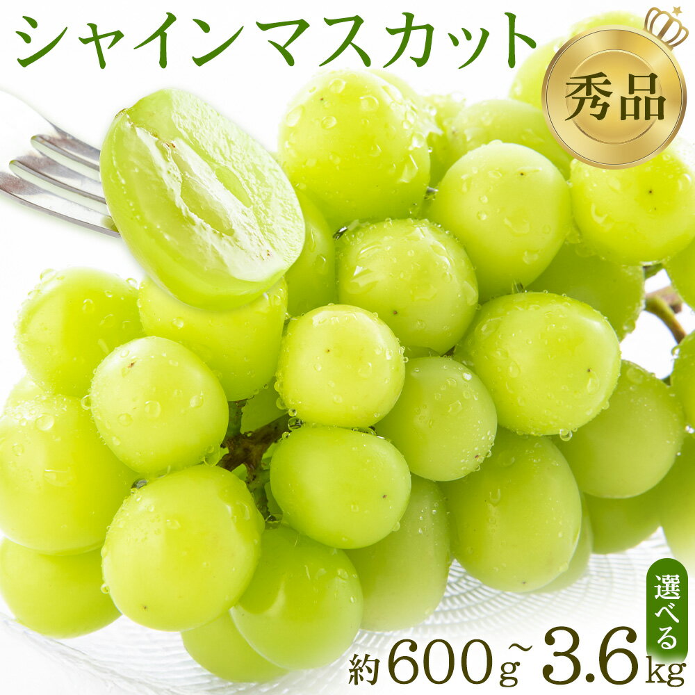 【ふるさと納税】シャインマスカット 秀品 選べる内容量 約600g-700g 約1.2kg 約2kg 約3.6kg 日本フルーツ《6月下旬-8月末頃出荷》熊本県 荒尾市 ぶどう ブドウ 果物 フルーツ スイーツ デザート ギフト ご贈答