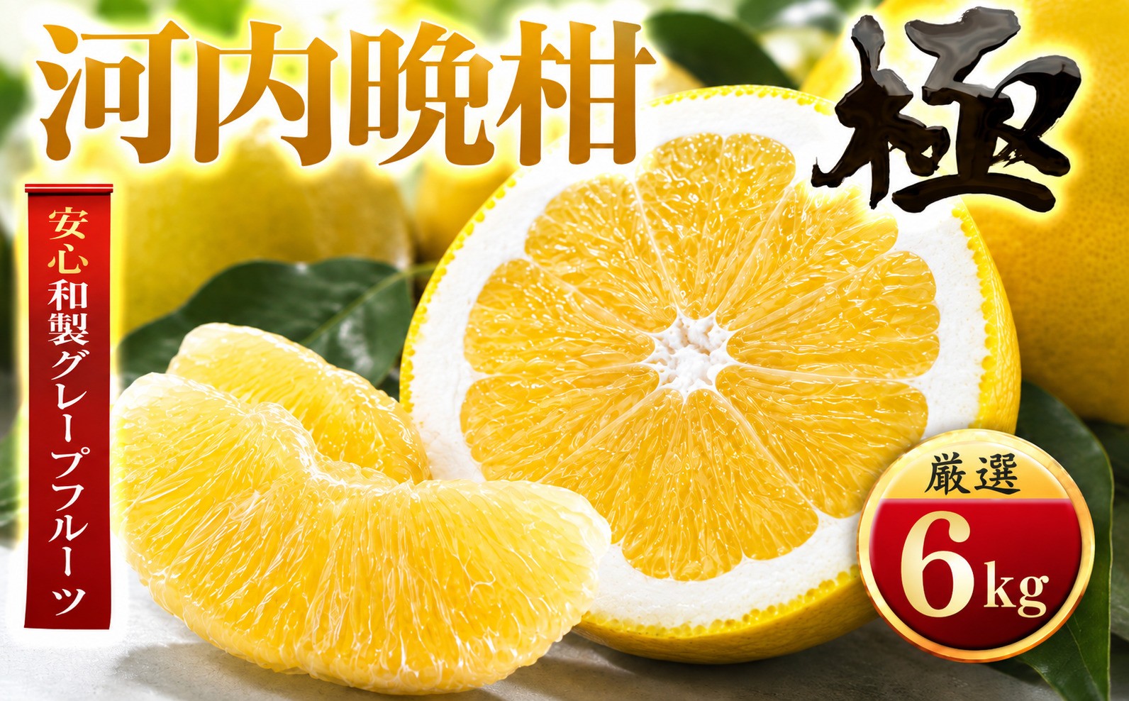 
                  ＜太陽をたっぷり浴びた＞河内晩柑＜極＞6kg＜C49-61＞【1509764】 YWTZ053
                