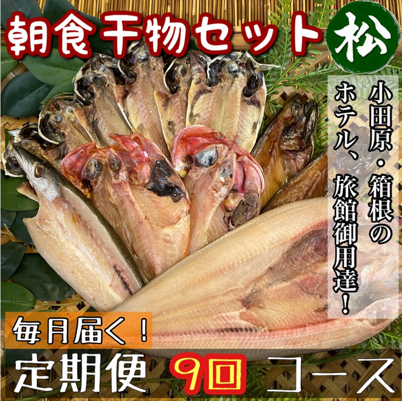 【毎月定期便9回】小田原、箱根の旅館、ホテル御用達！朝食干物セット 松【 まぐろや 神奈川県小田原市 】 142069_DQ258