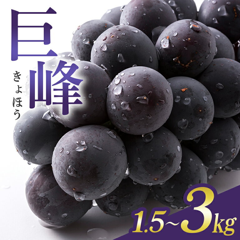 【ふるさと納税】【 2025年 先行予約 】 巨峰 1.5kg 2kg 3kg ( 種あり ) 石田ぶどう園 4房 〜 6房 5房 ～ 8房 6房 ～ 12房 国産 ぶどう ブドウ 果物 くだもの 葡萄 フルーツ 1.5キロ 9月 10月 発送 秋 旬 品種 茨城県産 産地直送 産直 農家直送 冷蔵 茨城県 石岡市 送料無料