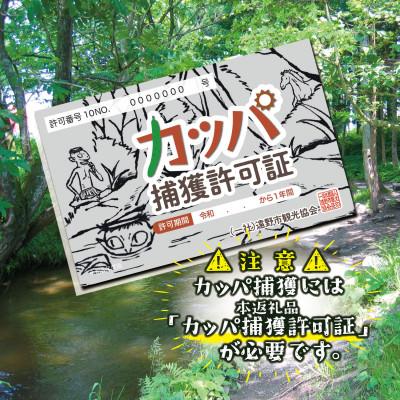 ふるさと納税 遠野市 カッパ捕獲許可証 令和8年度版デザイン 岩手県 遠野市 観光協会