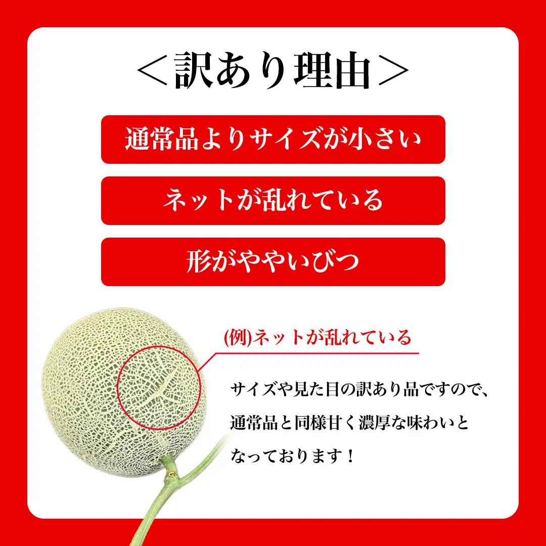 訳あり アールスメロン 2玉 果物 フルーツ 青肉メロン マスクメロン メロン くだもの 訳アリ [BC098sa]
