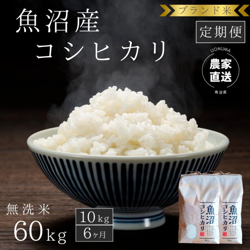 【ふるさと納税】【定期便：無洗米10kg×6ヶ月】ブランド米 魚沼産コシヒカリ 米 こしひかり 新潟 定期　お届け：寄附入金月の翌月より発送