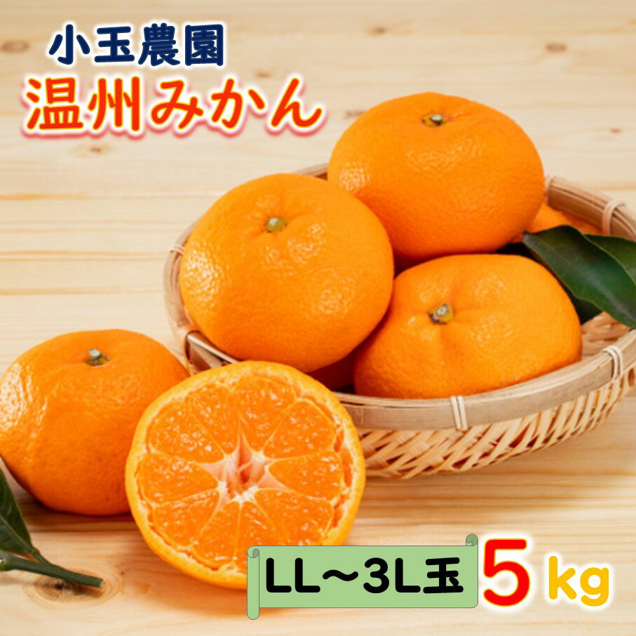 【ふるさと納税】小玉農園/国東みかん約5kg（LL～3Lサイズ） 温州ミカン 蜜柑 みかん 訳あり 大玉 送料無料 5kg 数量限定
