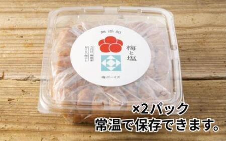 【大容量・常温保管可能 】ミネラル豊かな天日塩だけで漬けた無添加梅干し2kg／南高梅 B201