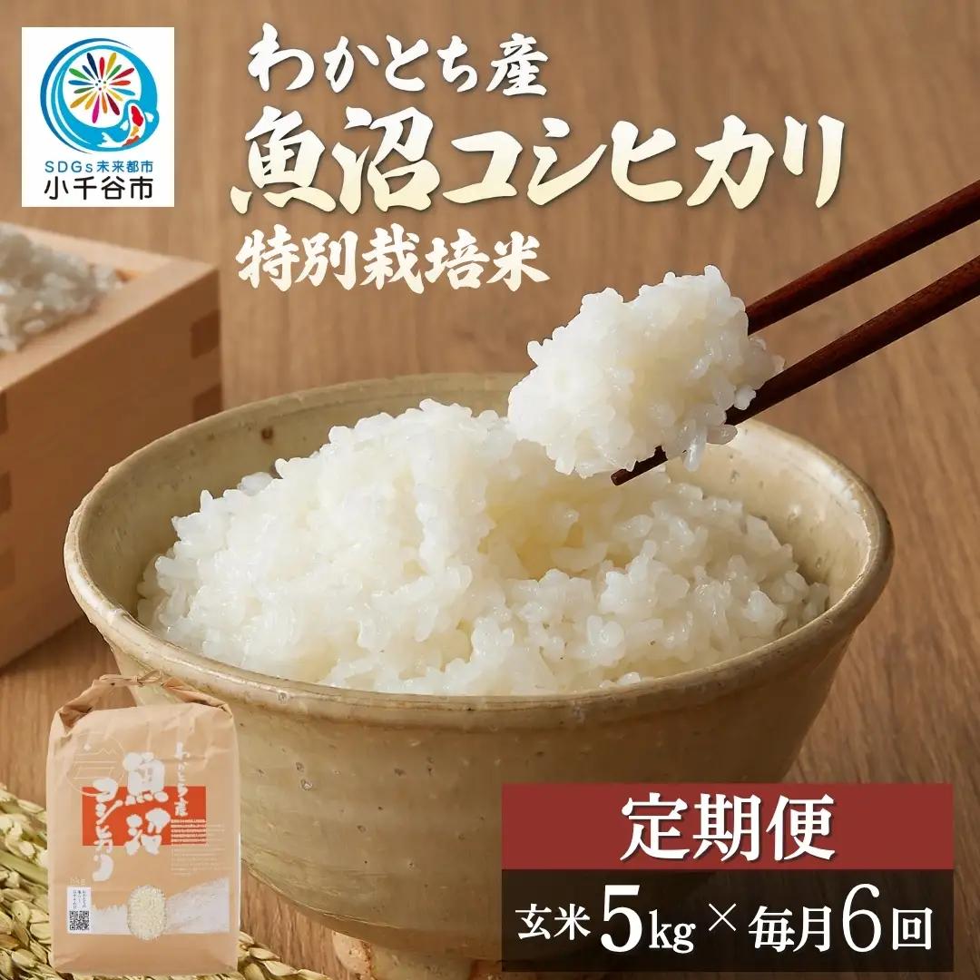 【6か月定期便 コシヒカリ】令和8年 玄米 魚沼産コシヒカリ 30kg（5キロ×毎月6回） Mt.ファームわかとち